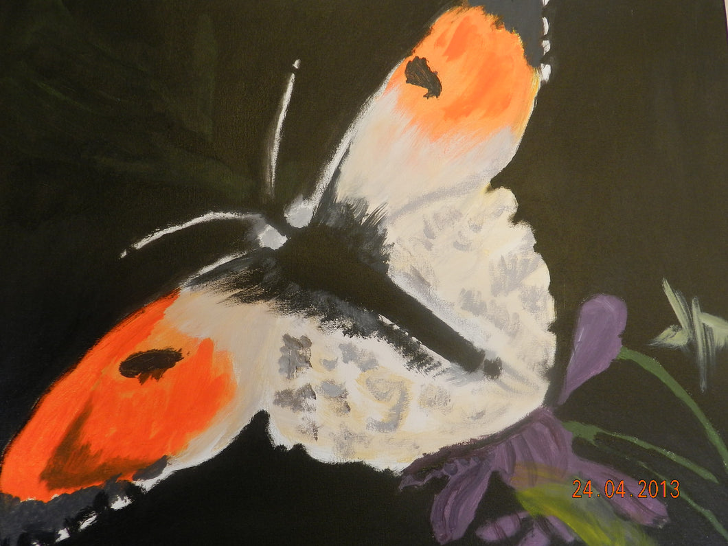 ACRYL SCHILDEREN (10 lessen) - wietskunstatelier