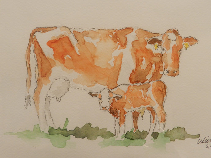 AQUARELLEREN (10 lessen) - wietskunstatelier